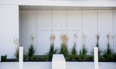 Lightbox Lab-Grown Diamond Plant